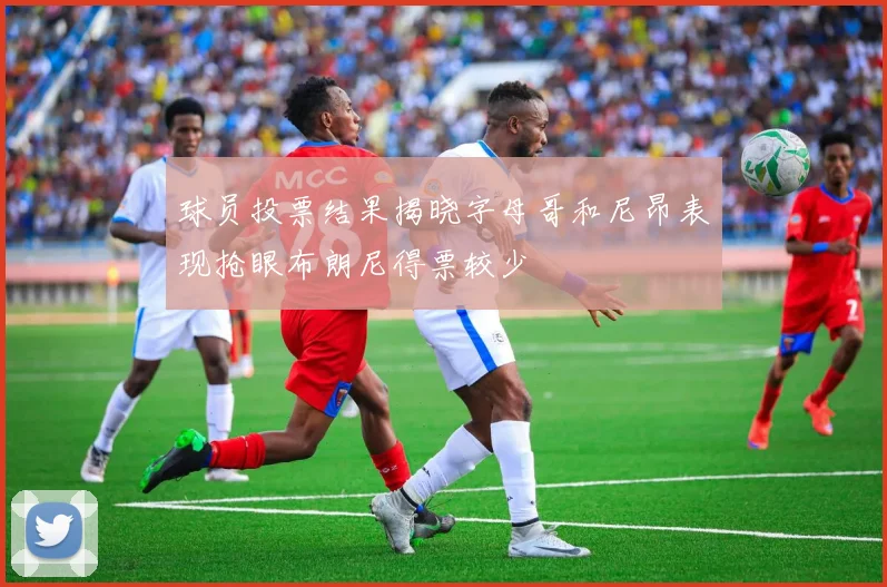 球员投票结果揭晓字母哥和尼昂表现抢眼布朗尼得票较少