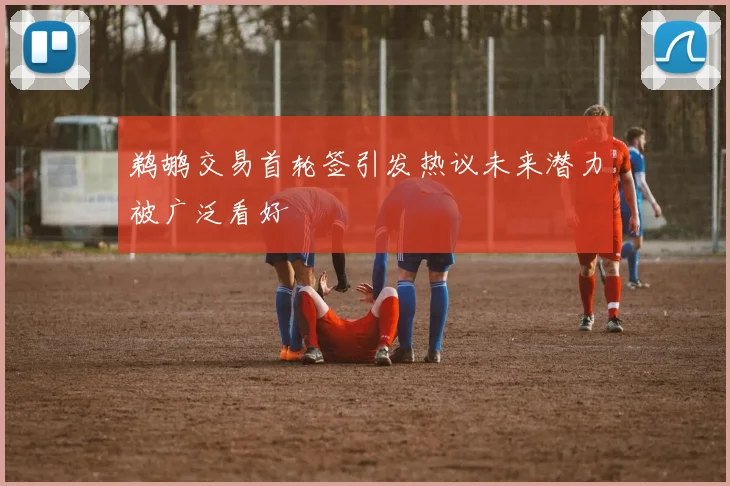 鹈鹕交易首轮签引发热议未来潜力被广泛看好