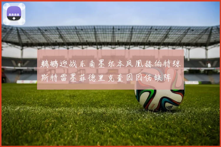 鹈鹕迎战东南墨尔本凤凰赫伯特琼斯特雷墨菲德里克奎因因伤缺阵